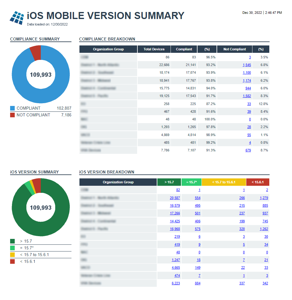 iOS Mobile Version Summary report image